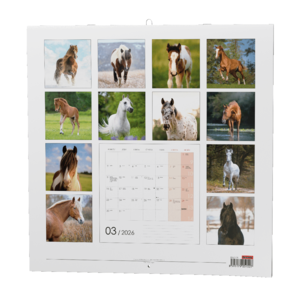 Fotografie k reklamnímu předmětu „Nástěnný kalendář - Koně“