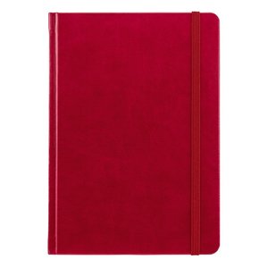 Fotografie k reklamnímu předmětu „Saturn červený linkovaný“