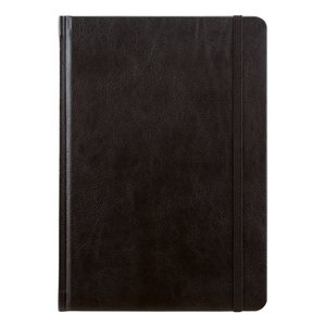 Fotografie k reklamnímu předmětu „Saturn černý linkovaný“