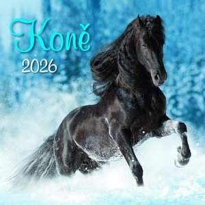 Fotografie k reklamnímu předmětu „Koně“