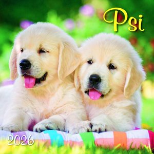 Fotografie k reklamnímu předmětu „Psi“