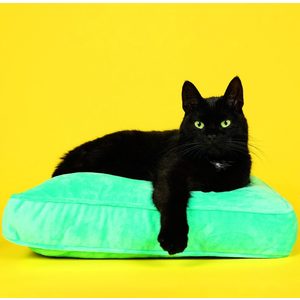 Fotografie k reklamnímu předmětu „Kalendář Cats“