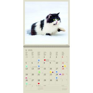 Fotografie k reklamnímu předmětu „Kalendář Cats“