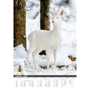 Fotografie k reklamnímu předmětu „Myslivecký kalendář“