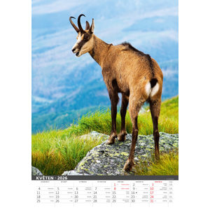 Fotografie k reklamnímu předmětu „Myslivecký kalendář“