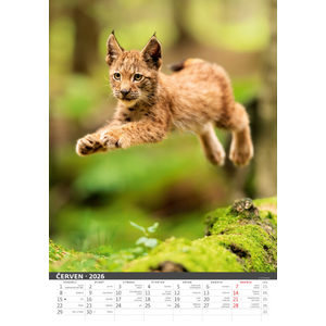 Fotografie k reklamnímu předmětu „Myslivecký kalendář“