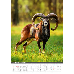 Fotografie k reklamnímu předmětu „Myslivecký kalendář“