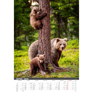 Fotografie k reklamnímu předmětu „Myslivecký kalendář“