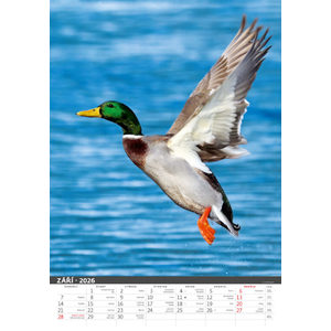 Fotografie k reklamnímu předmětu „Myslivecký kalendář“