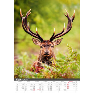 Fotografie k reklamnímu předmětu „Myslivecký kalendář“
