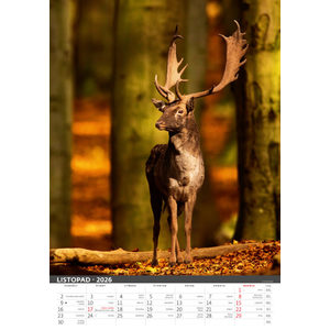 Fotografie k reklamnímu předmětu „Myslivecký kalendář“