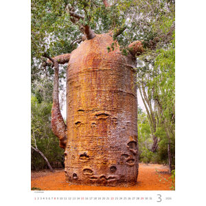 Fotografie k reklamnímu předmětu „Kalendář Stromy“