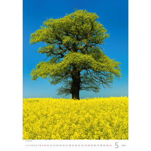 Fotografie k reklamnímu předmětu „Kalendář Stromy“