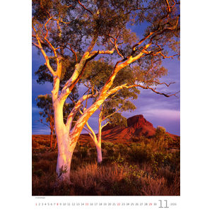 Fotografie k reklamnímu předmětu „Kalendář Stromy“