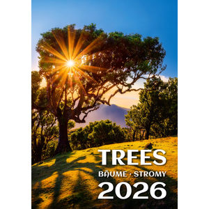 Fotografie k reklamnímu předmětu „Kalendář Stromy“