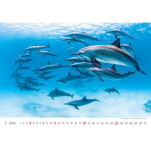 Fotografie k reklamnímu předmětu „Kalendář Deep Blue“