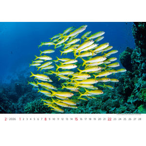 Fotografie k reklamnímu předmětu „Kalendář Deep Blue“