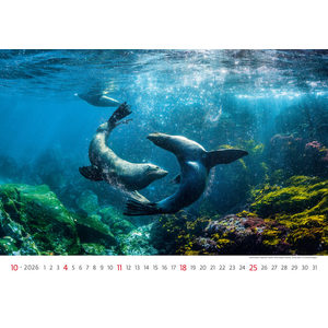 Fotografie k reklamnímu předmětu „Kalendář Deep Blue“