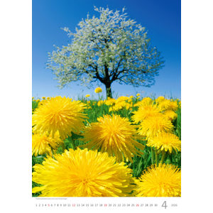 Fotografie k reklamnímu předmětu „Kalendář Nature Emotions“