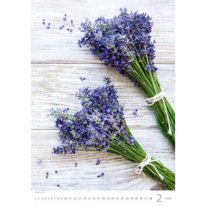 Fotografie k reklamnímu předmětu „Kalendář Provence“
