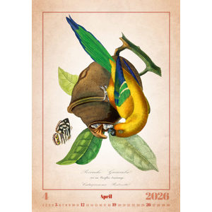 Fotografie k reklamnímu předmětu „Kalendář Aviarium“