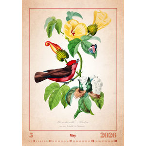 Fotografie k reklamnímu předmětu „Kalendář Aviarium“