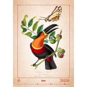 Fotografie k reklamnímu předmětu „Kalendář Aviarium“