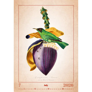 Fotografie k reklamnímu předmětu „Kalendář Aviarium“