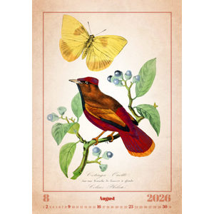 Fotografie k reklamnímu předmětu „Kalendář Aviarium“