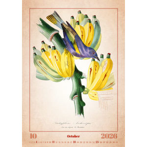 Fotografie k reklamnímu předmětu „Kalendář Aviarium“