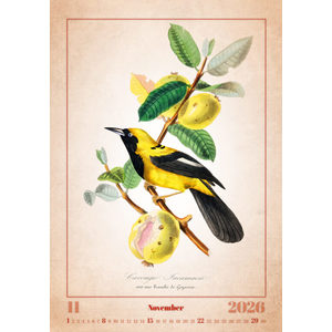 Fotografie k reklamnímu předmětu „Kalendář Aviarium“