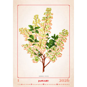 Fotografie k reklamnímu předmětu „Kalendář Herbarium“