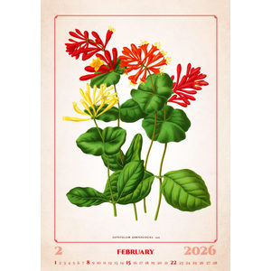 Fotografie k reklamnímu předmětu „Kalendář Herbarium“