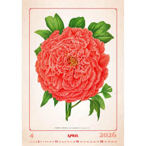 Fotografie k reklamnímu předmětu „Kalendář Herbarium“