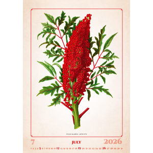 Fotografie k reklamnímu předmětu „Kalendář Herbarium“