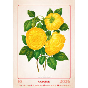 Fotografie k reklamnímu předmětu „Kalendář Herbarium“