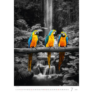 Fotografie k reklamnímu předmětu „Kalendář Colour Art“