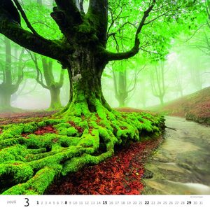 Fotografie k reklamnímu předmětu „Kalendář Les“