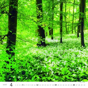 Fotografie k reklamnímu předmětu „Kalendář Les“