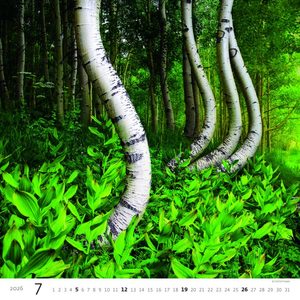 Fotografie k reklamnímu předmětu „Kalendář Les“