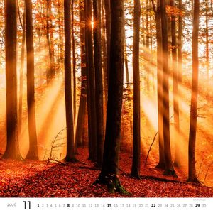 Fotografie k reklamnímu předmětu „Kalendář Les“