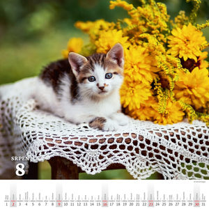 Fotografie k reklamnímu předmětu „Kalendář Krásy venkova“