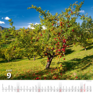 Fotografie k reklamnímu předmětu „Kalendář Krásy venkova“