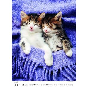 Fotografie k reklamnímu předmětu „Kalendář Koťátka“