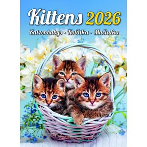 Fotografie k reklamnímu předmětu „Kalendář Koťátka“