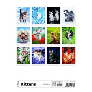 Fotografie k reklamnímu předmětu „Kalendář Koťátka“