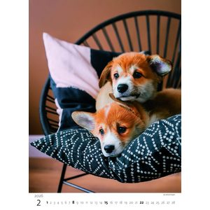 Fotografie k reklamnímu předmětu „Kalendář Štěňátka“