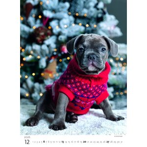 Fotografie k reklamnímu předmětu „Kalendář Štěňátka“