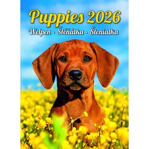 Fotografie k reklamnímu předmětu „Kalendář Štěňátka“