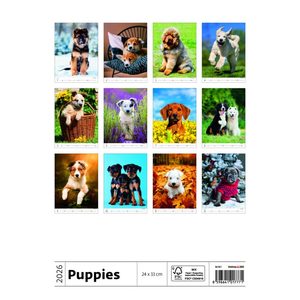 Fotografie k reklamnímu předmětu „Kalendář Štěňátka“